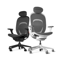 Xiaomi Yuemi YM Ergonomic Chair